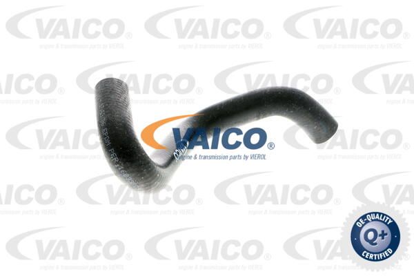 VAICO Radiatora cauruļvads V10-0365