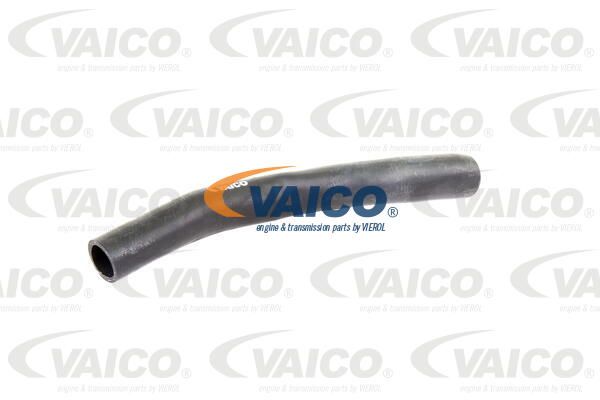 VAICO Radiatora cauruļvads V10-0366