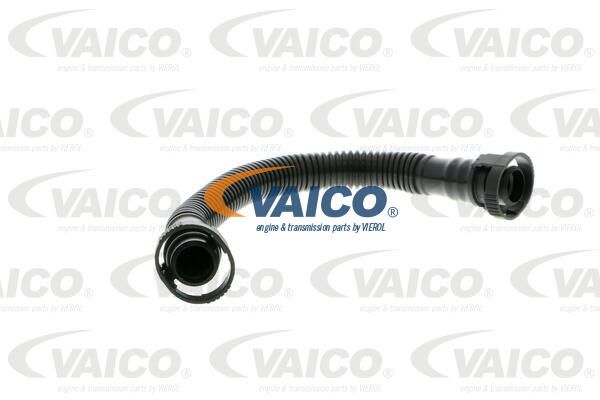 VAICO Šļūtene, Motora galvas vāka ventilācija V10-0775