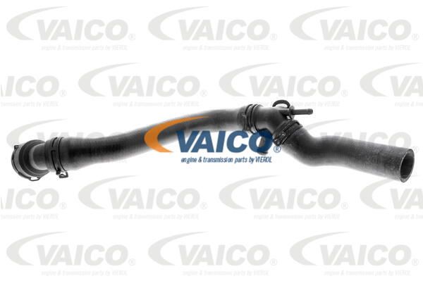 VAICO Radiatora cauruļvads V10-1000