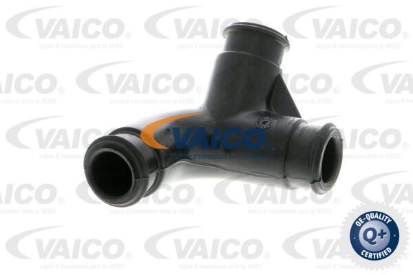 VAICO Šļūtene, Motora galvas vāka ventilācija V10-2275