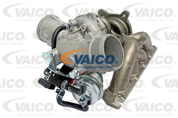 VAICO Kompresors, Turbopūte V10-2481
