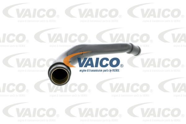 VAICO Шланг, воздухоотвод крышки головки цилиндра V10-2524