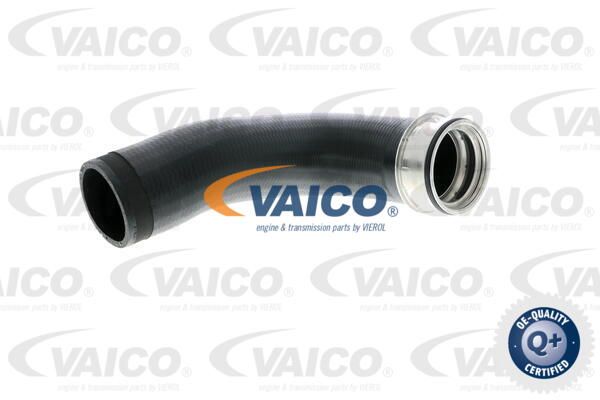 VAICO Трубка нагнетаемого воздуха V10-2699