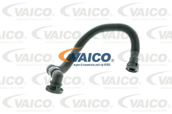 VAICO Šļūtene, Motora galvas vāka ventilācija V10-2779