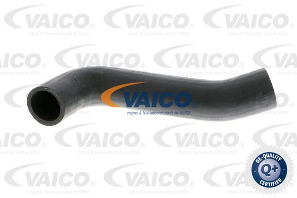 VAICO Трубка нагнетаемого воздуха V10-2844