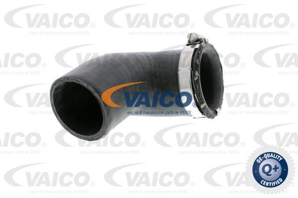 VAICO Pūtes sistēmas gaisa caurule V10-2881