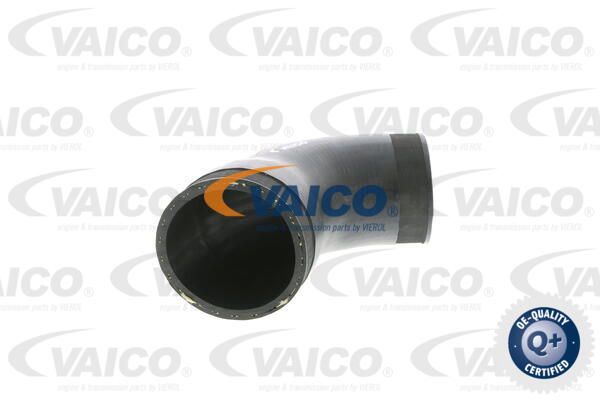 VAICO Трубка нагнетаемого воздуха V10-2882