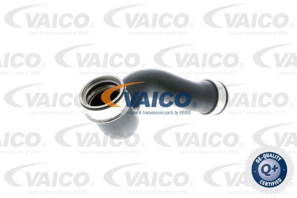 VAICO Трубка нагнетаемого воздуха V10-2902