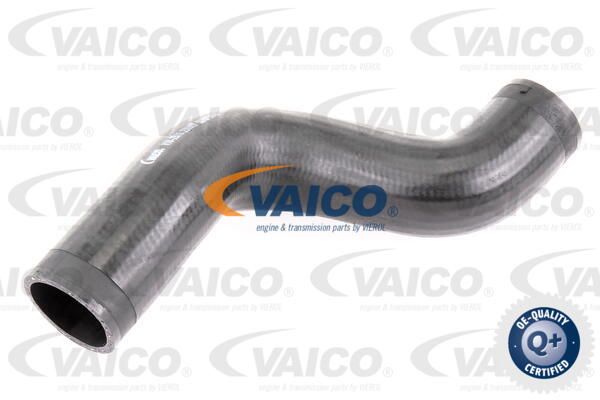 VAICO Трубка нагнетаемого воздуха V10-2910
