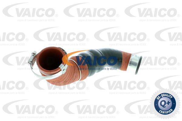 VAICO Pūtes sistēmas gaisa caurule V10-2919