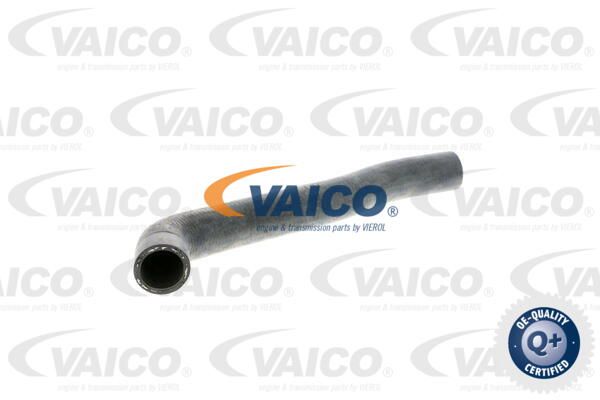 VAICO Radiatora cauruļvads V10-3201