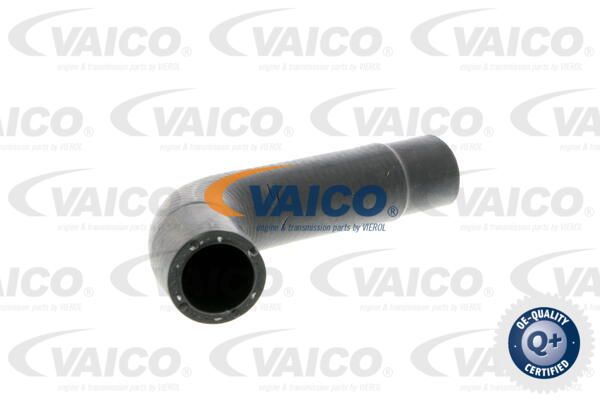 VAICO Radiatora cauruļvads V10-3202