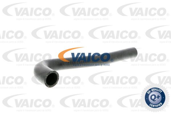 VAICO Radiatora cauruļvads V10-3203