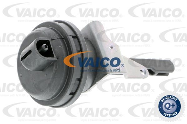 VAICO Клапан вакуумного управления, рециркуляция ОГ V10-3669