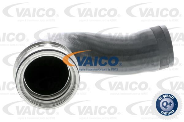 VAICO Pūtes sistēmas gaisa caurule V10-3768