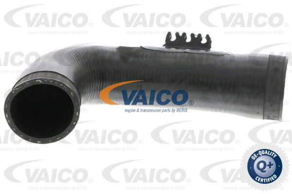 VAICO Pūtes sistēmas gaisa caurule V10-3771