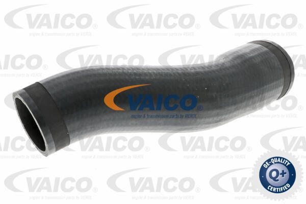 VAICO Pūtes sistēmas gaisa caurule V10-3773