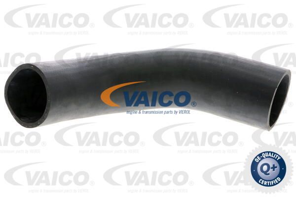 VAICO Трубка нагнетаемого воздуха V10-3779