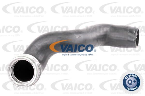 VAICO Трубка нагнетаемого воздуха V10-3786