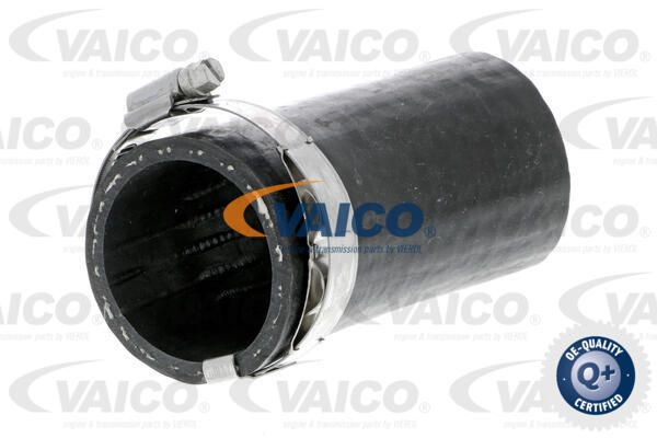 VAICO Pūtes sistēmas gaisa caurule V10-3803