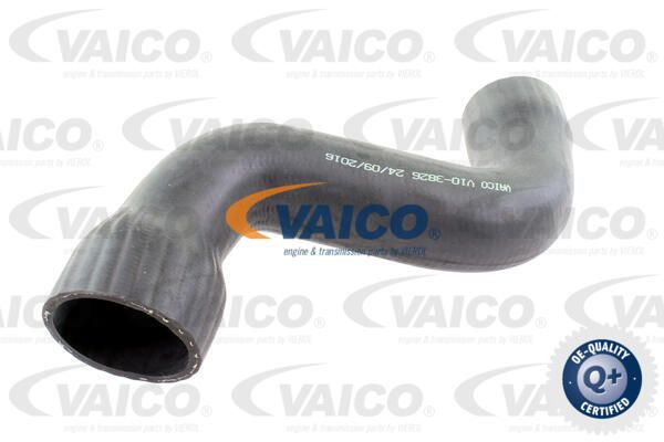 VAICO Трубка нагнетаемого воздуха V10-3826