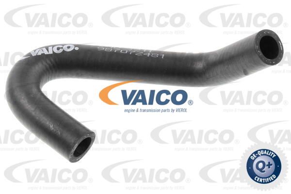 VAICO Radiatora cauruļvads V10-3911
