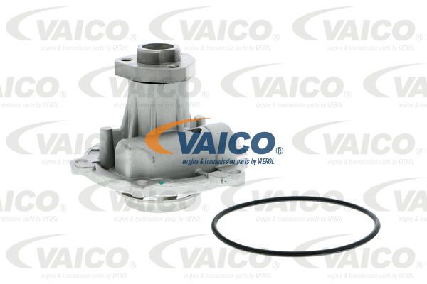 VAICO Ūdenssūknis V10-50009