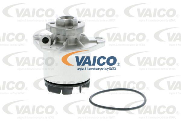 VAICO Ūdenssūknis V10-50040