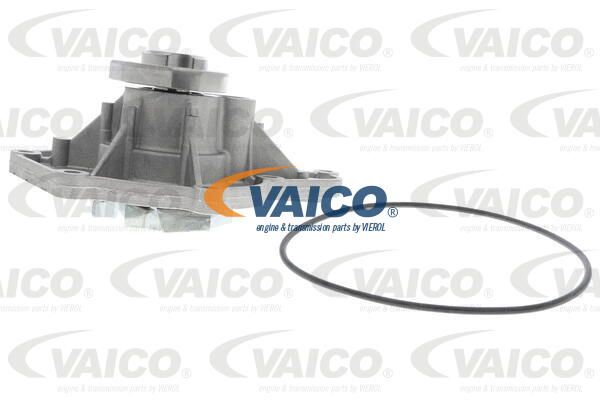 VAICO Ūdenssūknis V10-50061-1