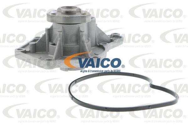 VAICO Ūdenssūknis V10-50066-1