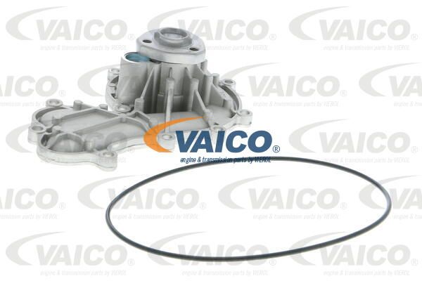 VAICO Ūdenssūknis V10-50079
