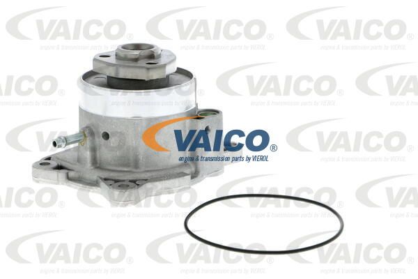 VAICO Ūdenssūknis V10-50081
