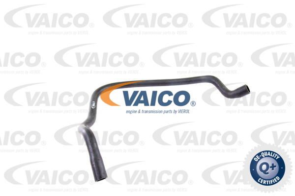 VAICO Radiatora cauruļvads V20-0142