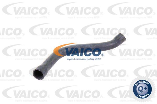 VAICO Шланг радиатора V20-0143