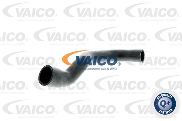 VAICO Radiatora cauruļvads V20-0144