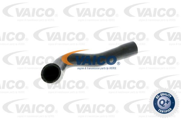 VAICO Radiatora cauruļvads V20-0148