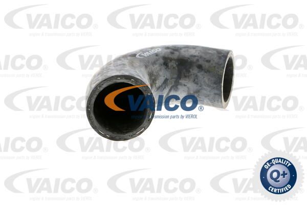 VAICO Radiatora cauruļvads V20-0151