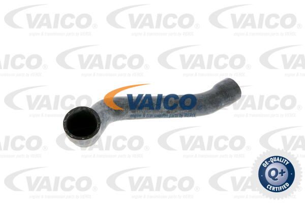 VAICO Radiatora cauruļvads V20-0153