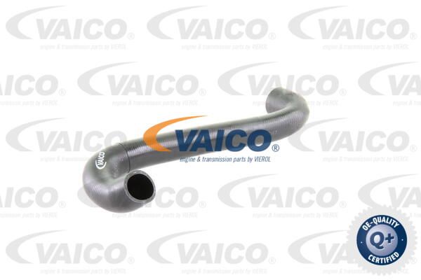 VAICO Radiatora cauruļvads V20-0291
