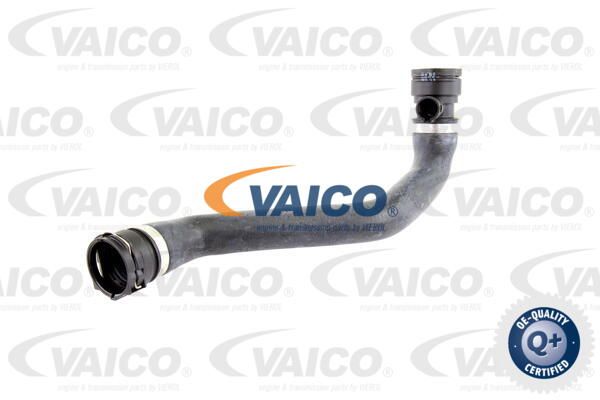 VAICO Radiatora cauruļvads V20-0789