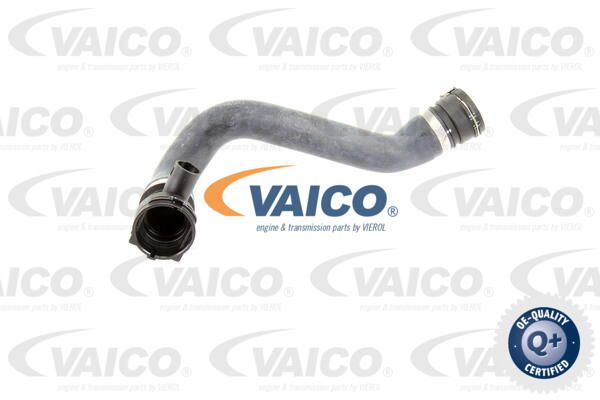 VAICO Radiatora cauruļvads V20-0865