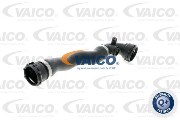 VAICO Radiatora cauruļvads V20-0867
