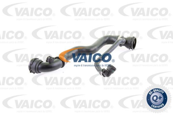 VAICO Radiatora cauruļvads V20-0908
