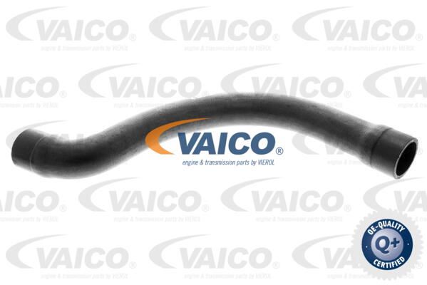 VAICO Radiatora cauruļvads V20-1252