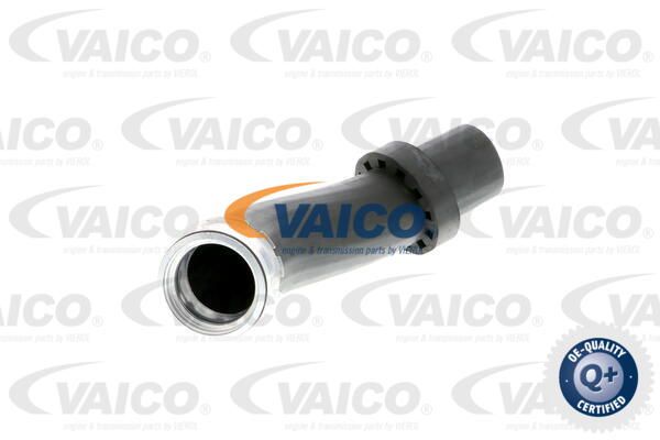 VAICO Трубка нагнетаемого воздуха V20-1619