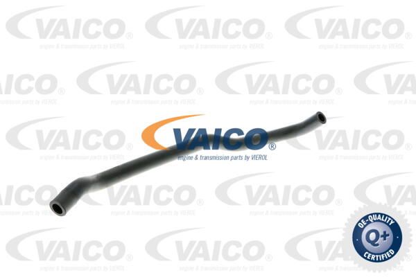 VAICO Шланг, воздухоотвод крышки головки цилиндра V20-1787