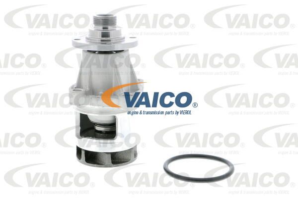 VAICO Ūdenssūknis V20-50013