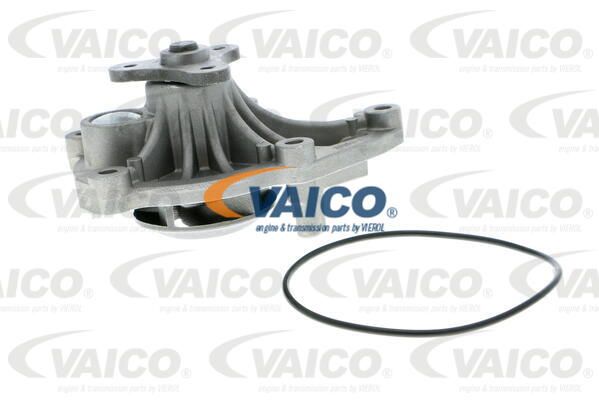 VAICO Ūdenssūknis V20-50045
