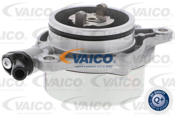 VAICO Вакуумный насос, тормозная система V20-8175